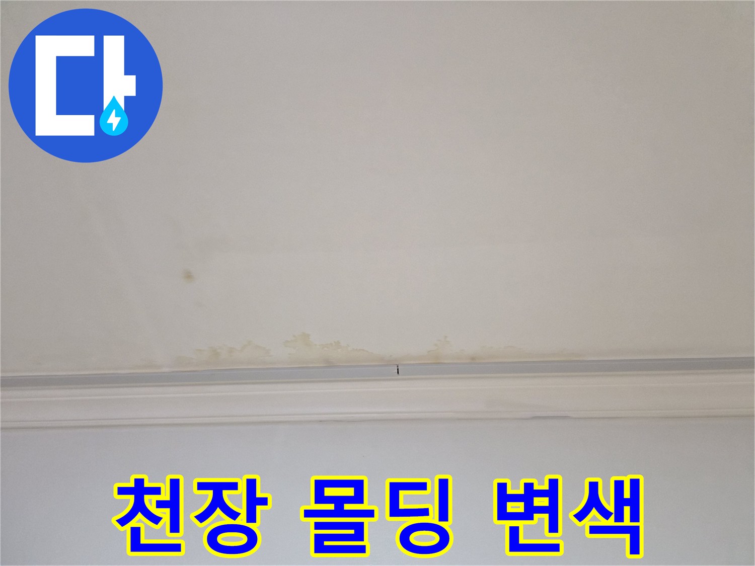 어린이집 천장 몰딩 부근의 누수로 인한 곰양과 변색 상태