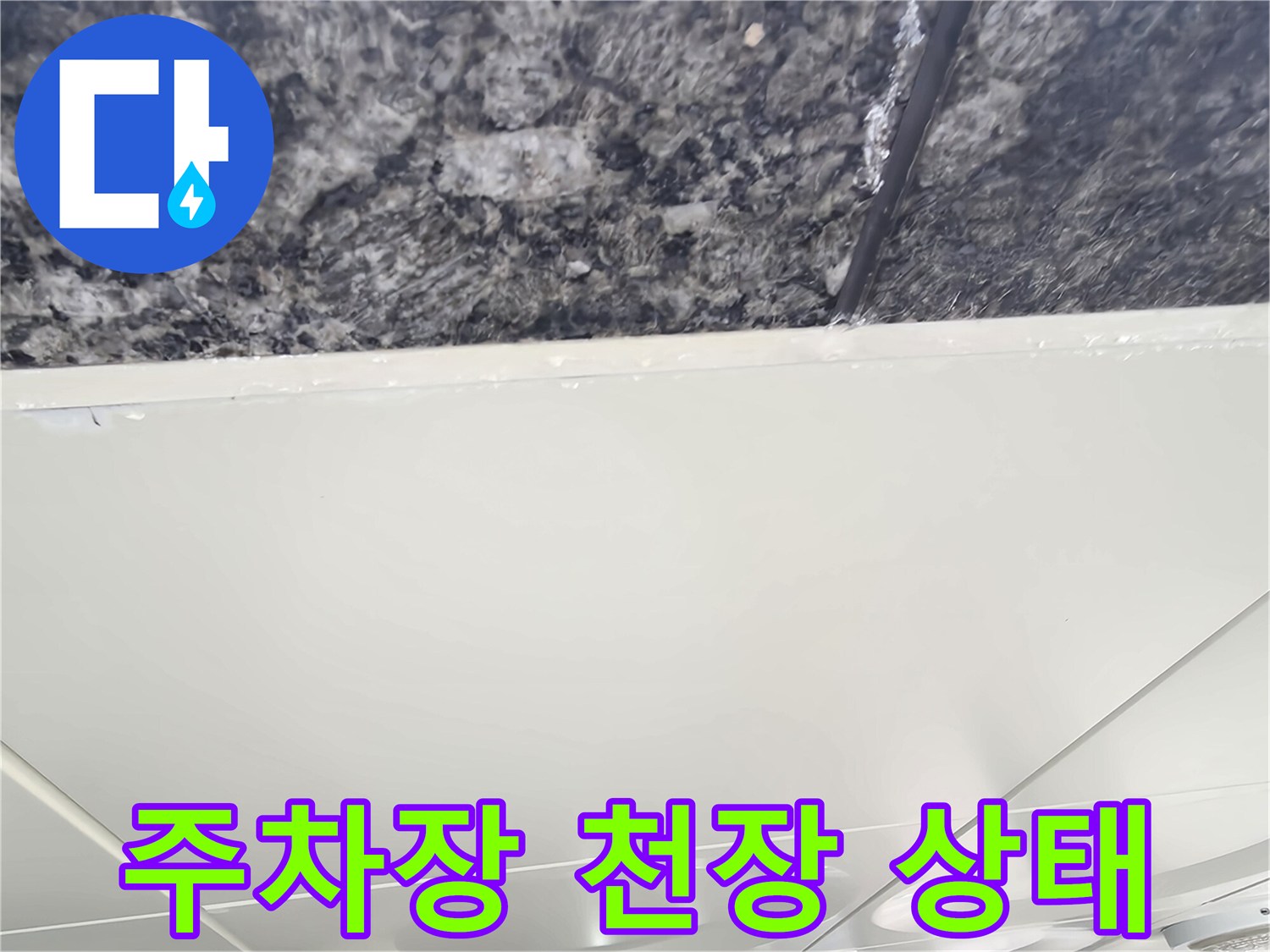중랑구 주차장 천장면의 어둡고 젖은 듯한 콘크리트 표면