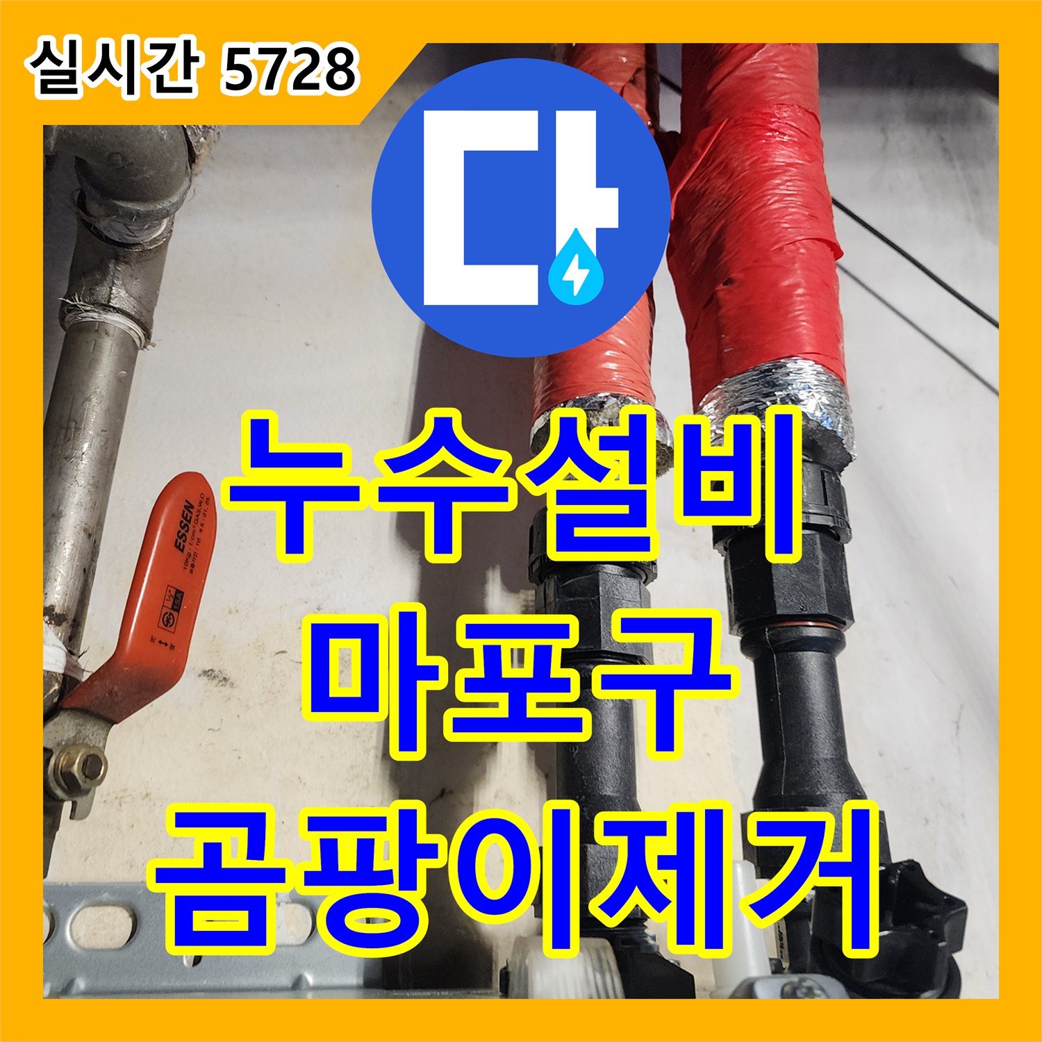 누수설비로 천장에 심한 곰팡이가 발생한 누수 문제, 첨단 장비로 정확하게 탐지하고 해결해 드린 마포구 현장