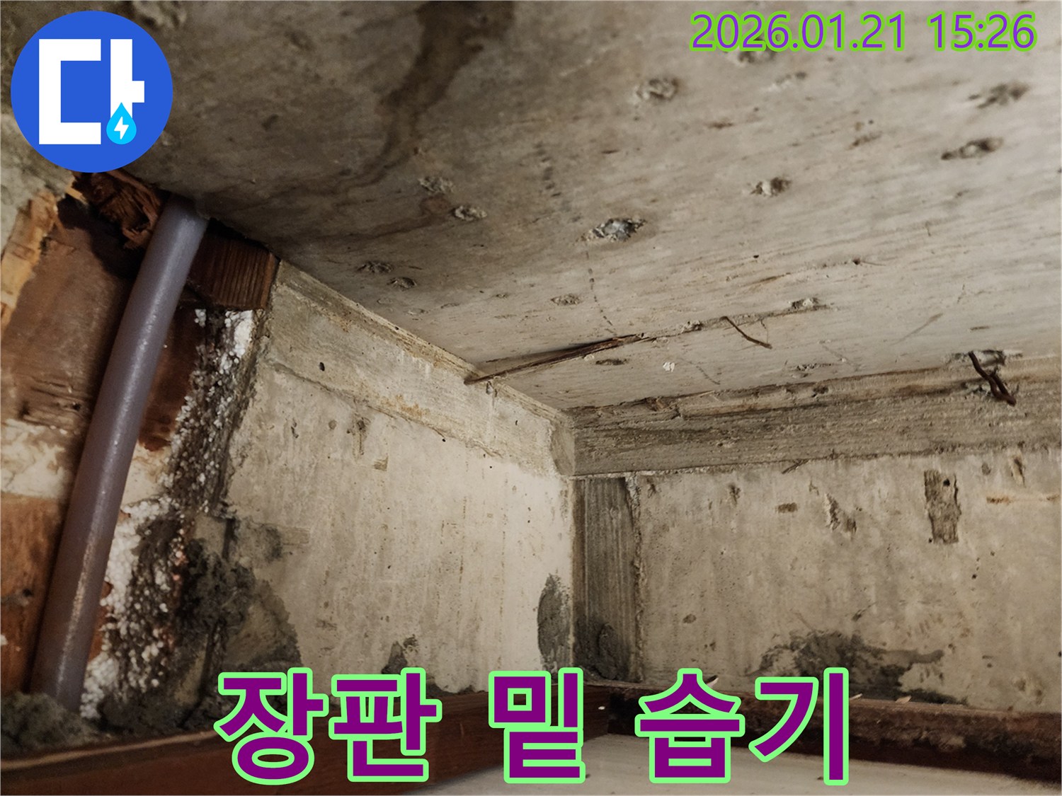 마포구 장판 밑 습기 발견 - 숨겨진 누수 여부 정밀 탐지
