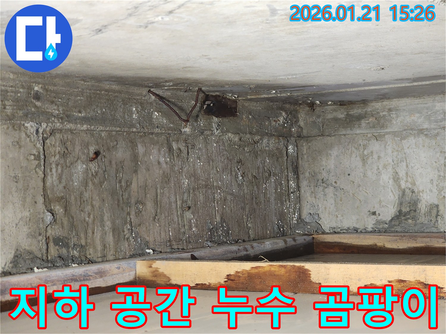 오래된-건물에서-발견된-천장-누수-피해로-인해-목재-구조물과-콘크리트-벽면이-젖은-현장
