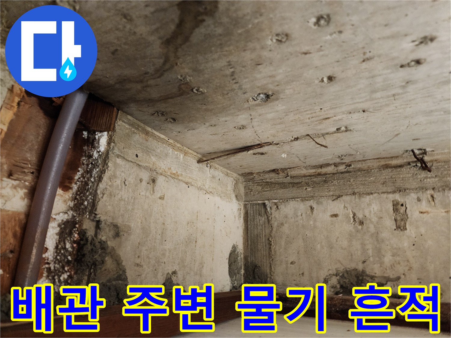 천장 내부 배관 근처에 나타난-젖은 콘크리트 면과 배관