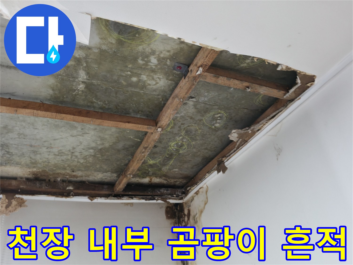 습기로 인해 곰팡이가 발생한 천장 구조물