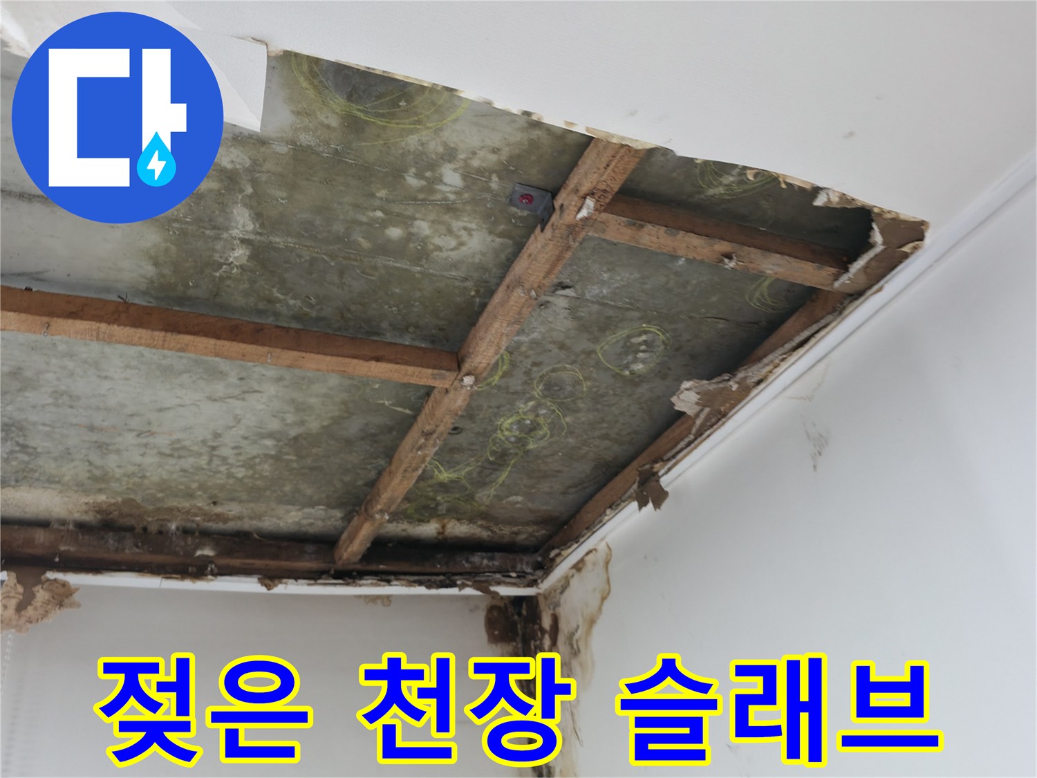 천장 내부의 곰<0xAE>팡이 발생 부위와 습윤된 콘크리트 면