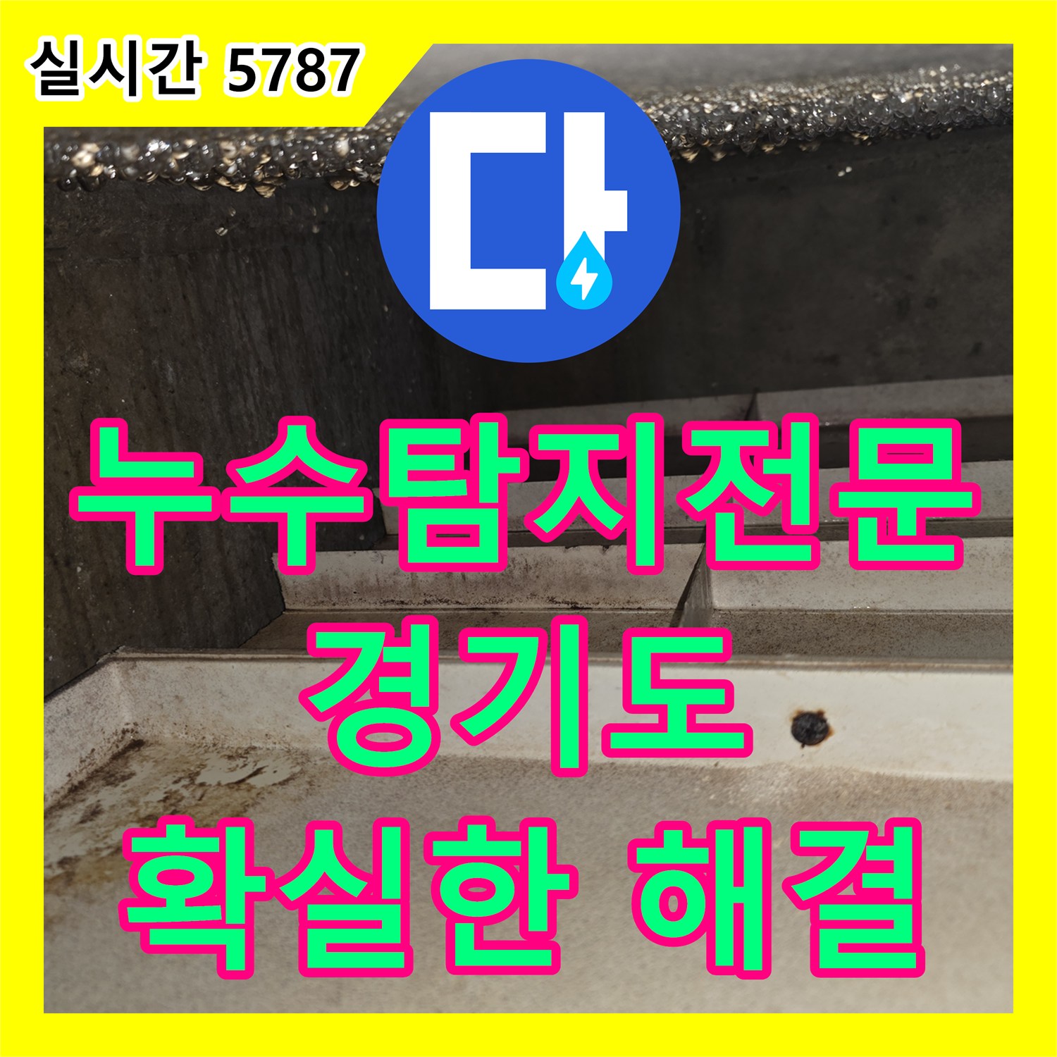 누수탐지전문가, 전문 장비로 누수 지점 정확히 탐지 - 안산