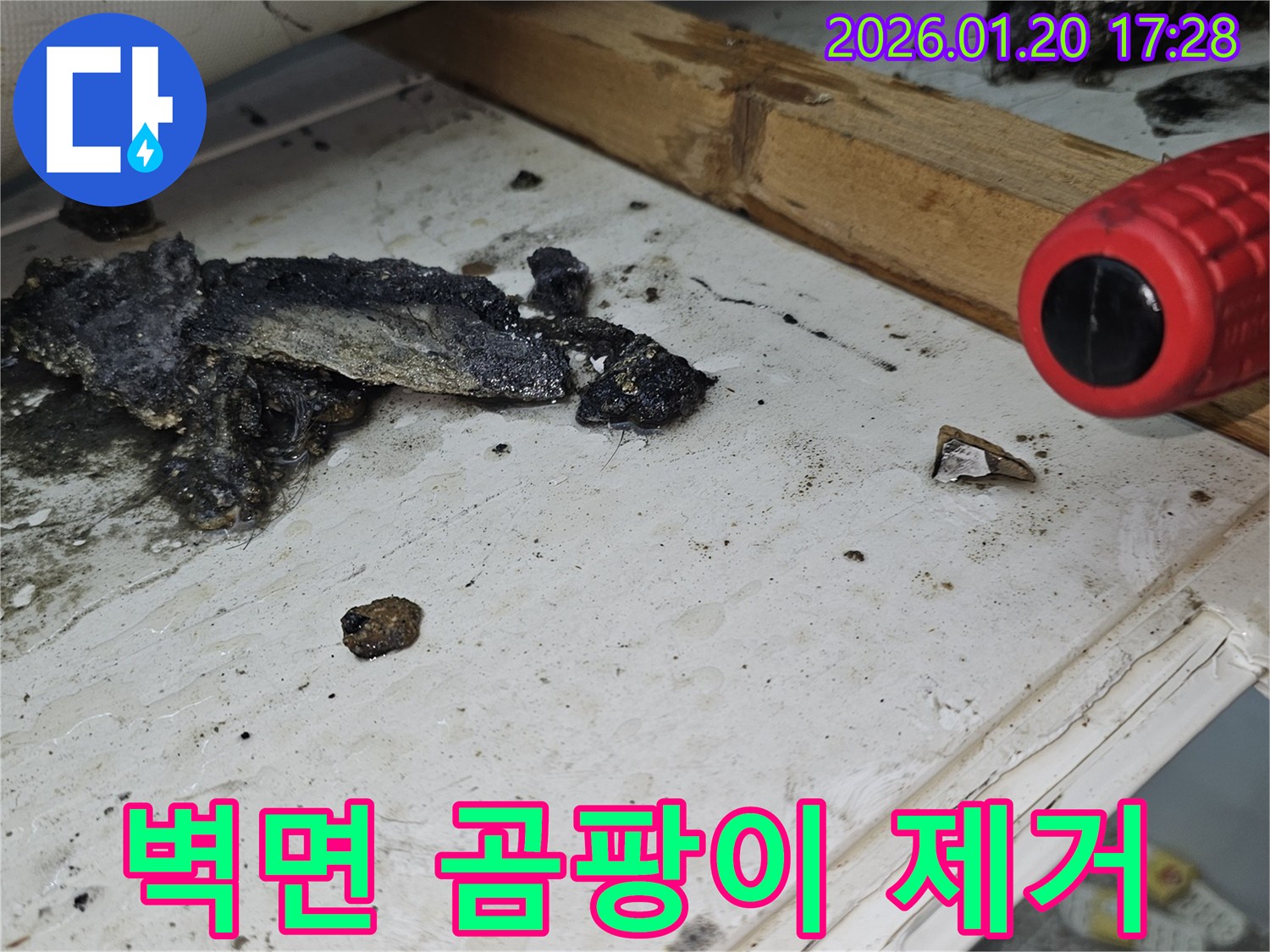 중계동 누수 현장 - 누수로 인한 벽면 곰팡이 제거 작업