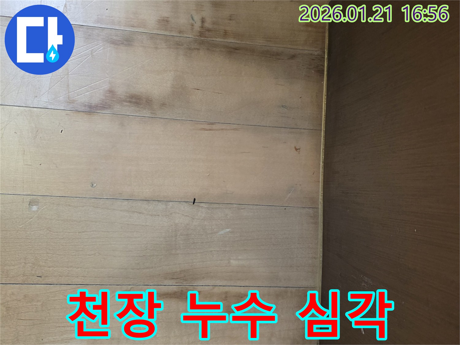 심각한 천장 누수 상황 - 천장에 물이 떨어지는 모습과 젖은 자국을 보여주는 이미지