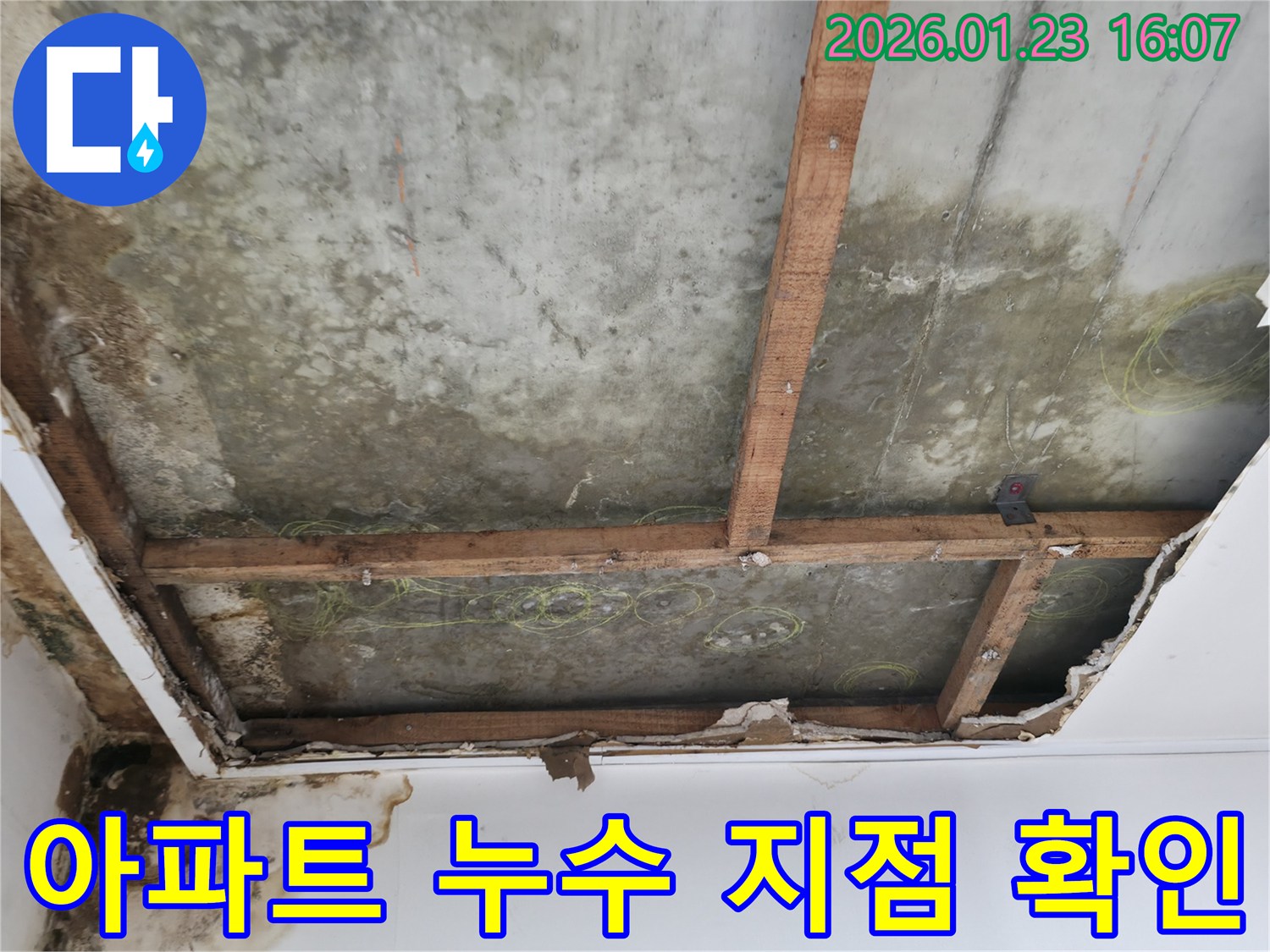 금하로 아파트 천장 누수 지점 확인 중-콘크리트 슬라브와 나무 지지대가 노출된-심한 누수 현장