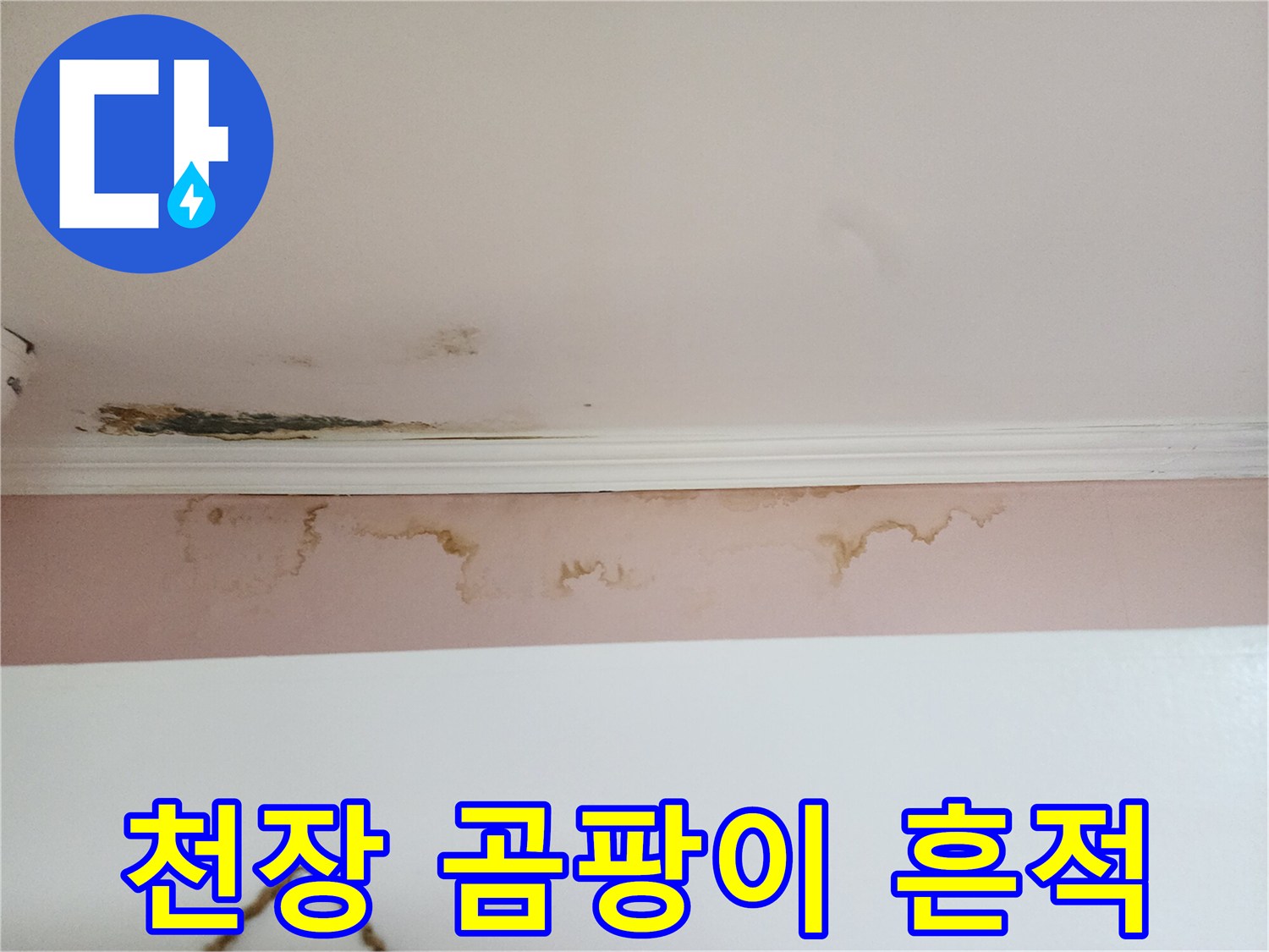 강남구 아파트-천장 가장자리 곰팡이 및 변색 상태