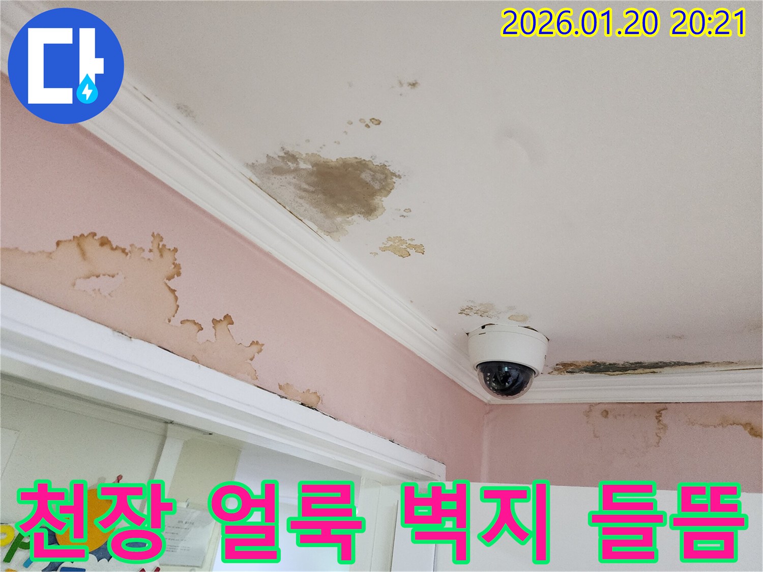 도곡동에서 확인된 천장 얼룩과 벽지 들뜸 현상 - 누수 지점을 정확하게 탐지하는 과정