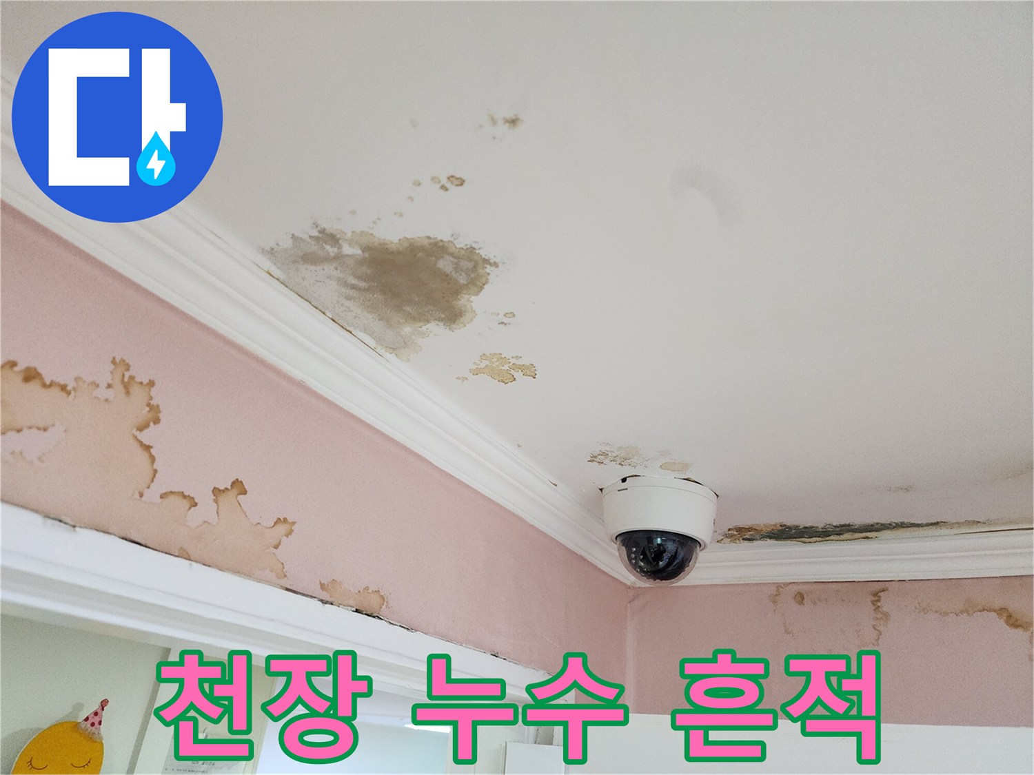물샘으로 인해 발생한 천장 몰딩의 변색과 곰팡이