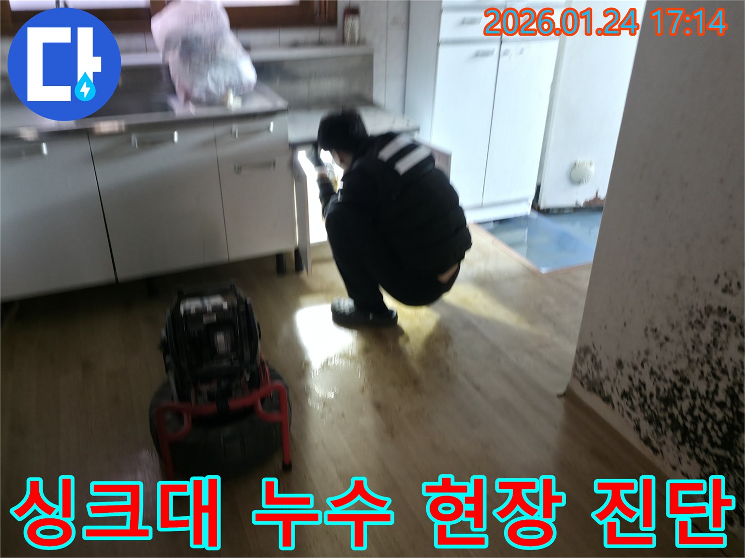 강북구 누수 전문가가 싱크대 누수 현장에서 물 고임 원인을 정밀하게 진단하고 있습니다 - 정확한 원인 파악이 해결의 첫걸음입니다.