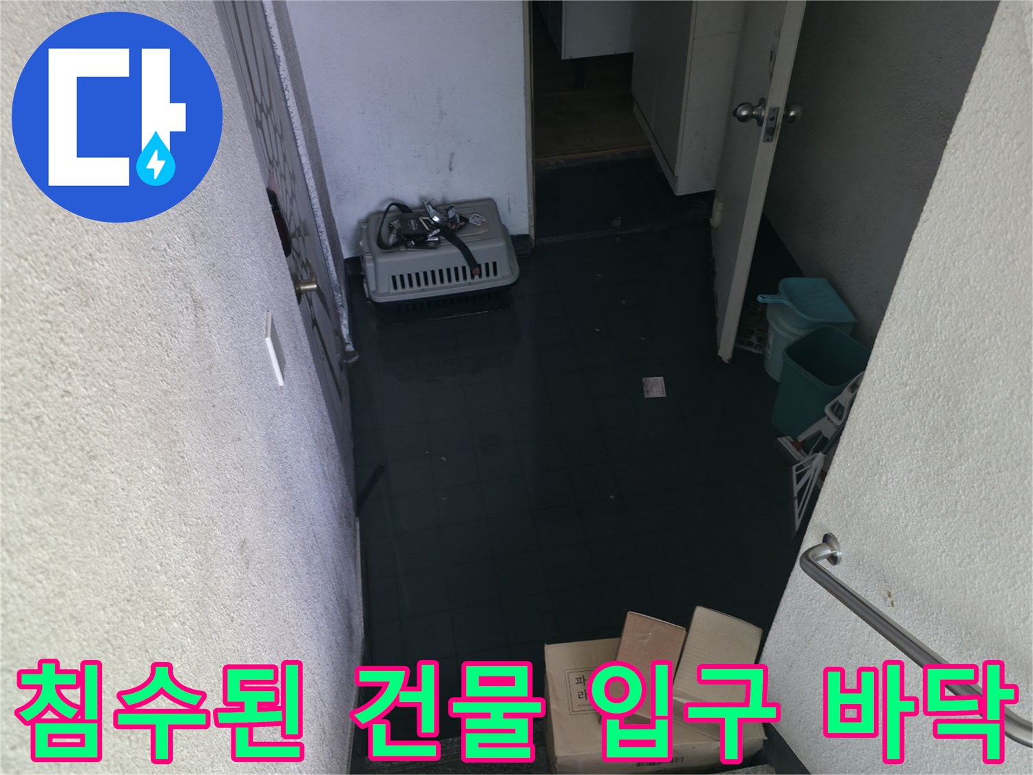 강북구 반지하 통로-오수가 역류하여 고여 있는 상태