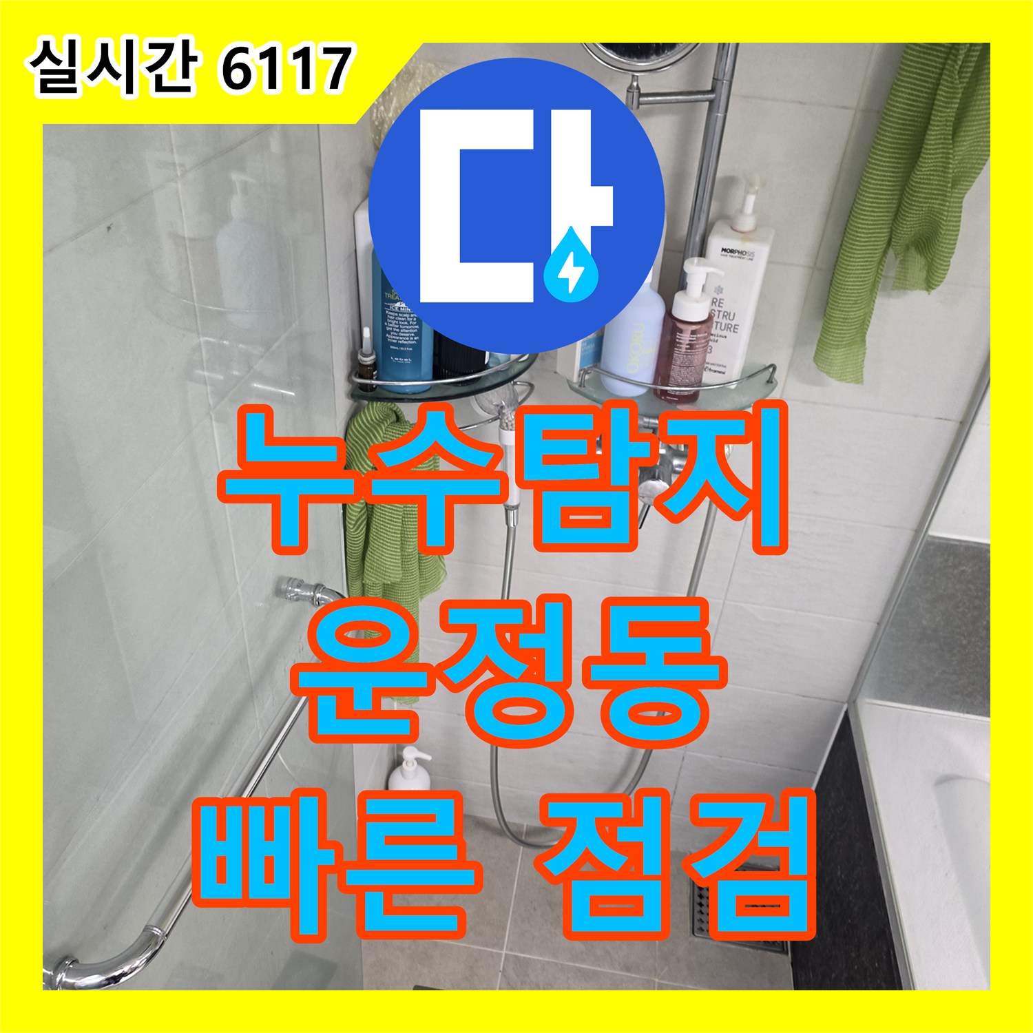 누수탐지전문, 변기 누수로 발생한 곰팡이 문제를 신속하게 점검했습니다 - 파주시 운정동