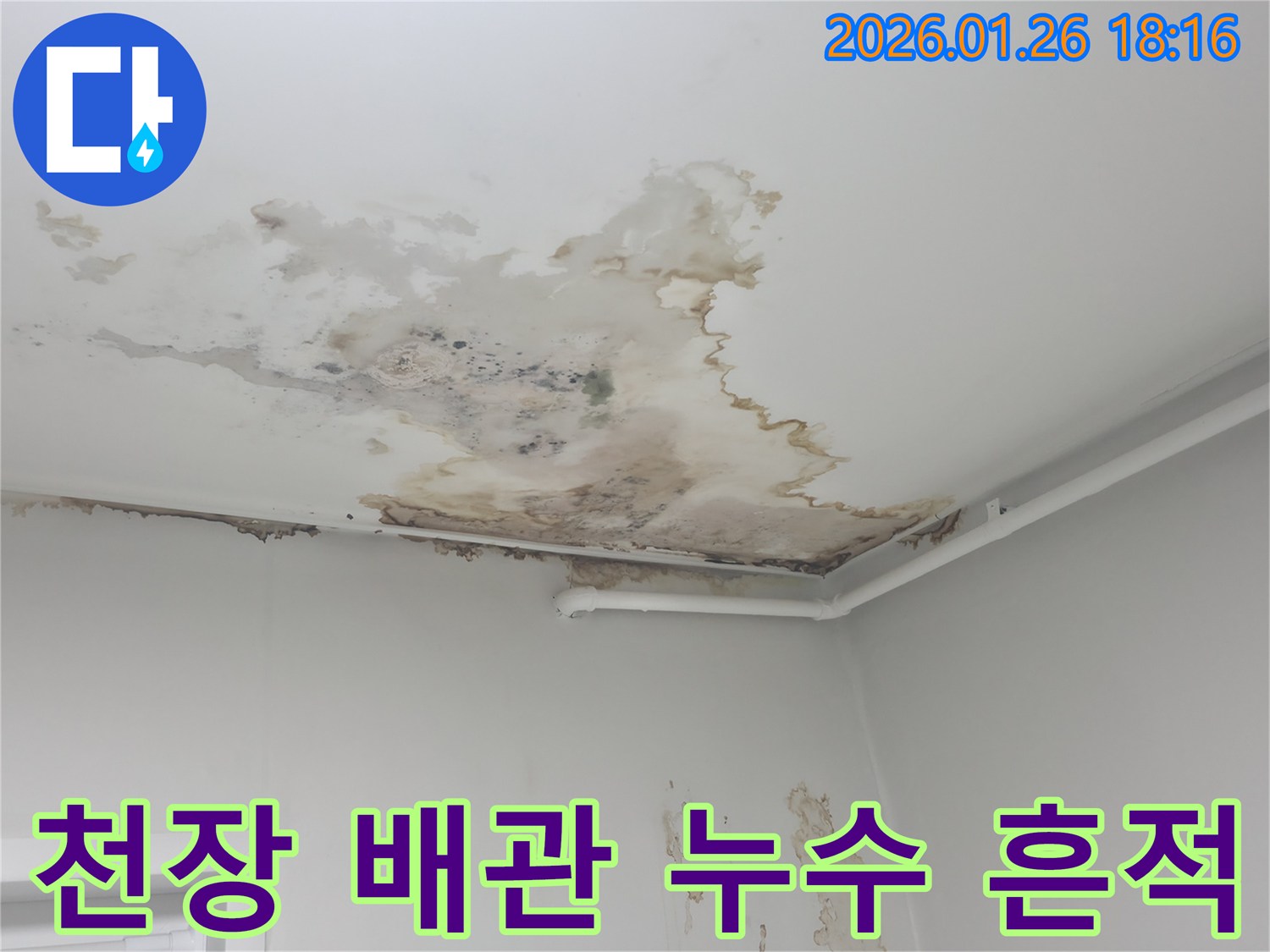 노원구 중계동 아파트 천장에서 발생한 배관 누수 흔적-정밀 진단 과정