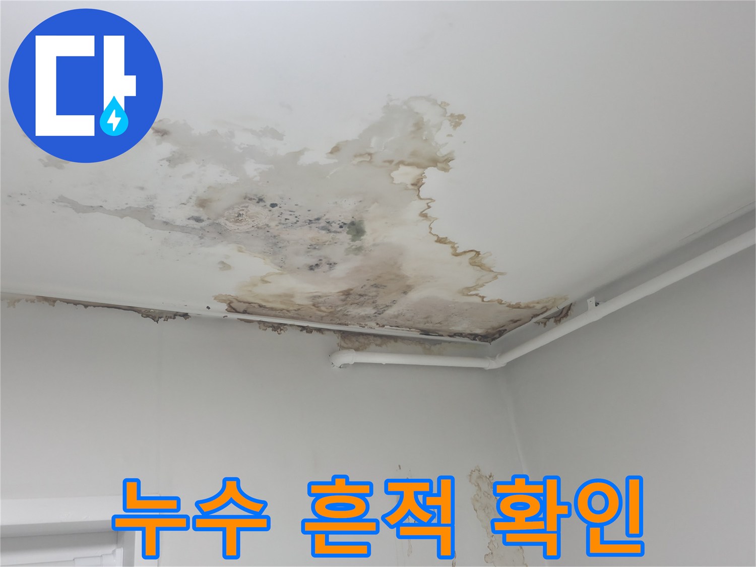 천장 면에 넓게 퍼진 갈색 누수 얼룩과 변색 부위 상세샷