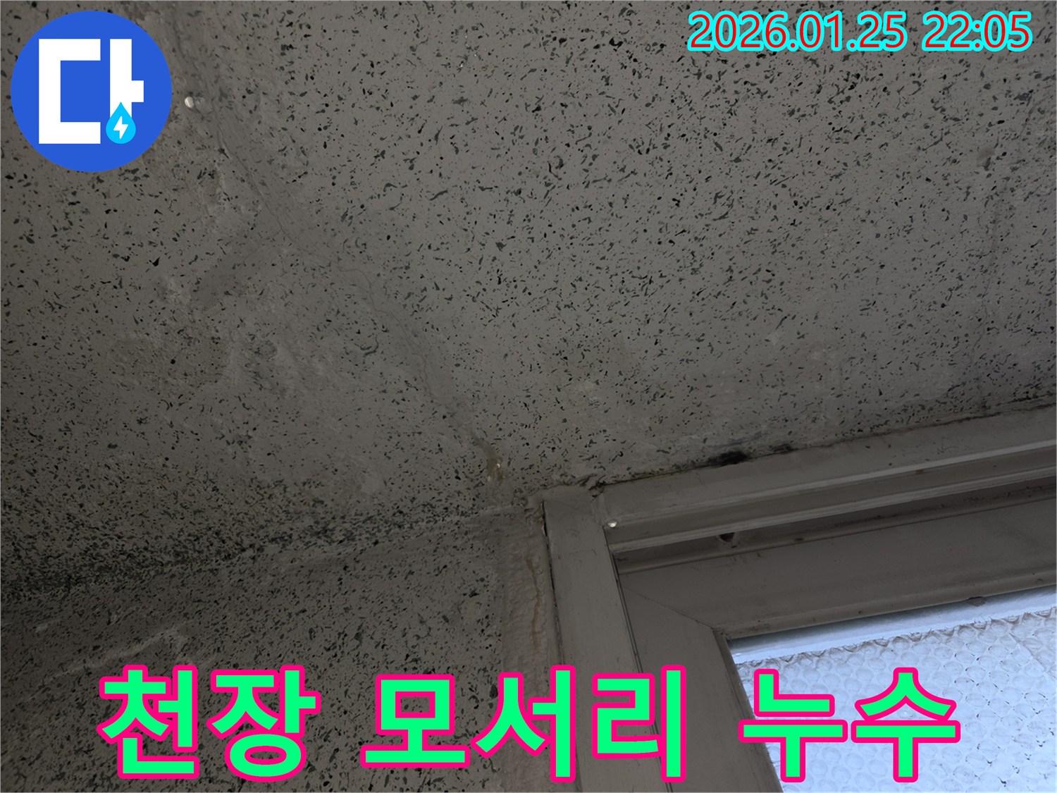 용인 처인구 모현읍에서 발생한 천장 모서리 누수-곰팡이 발생 전 신속한 탐지와 해결이 중요합니다.