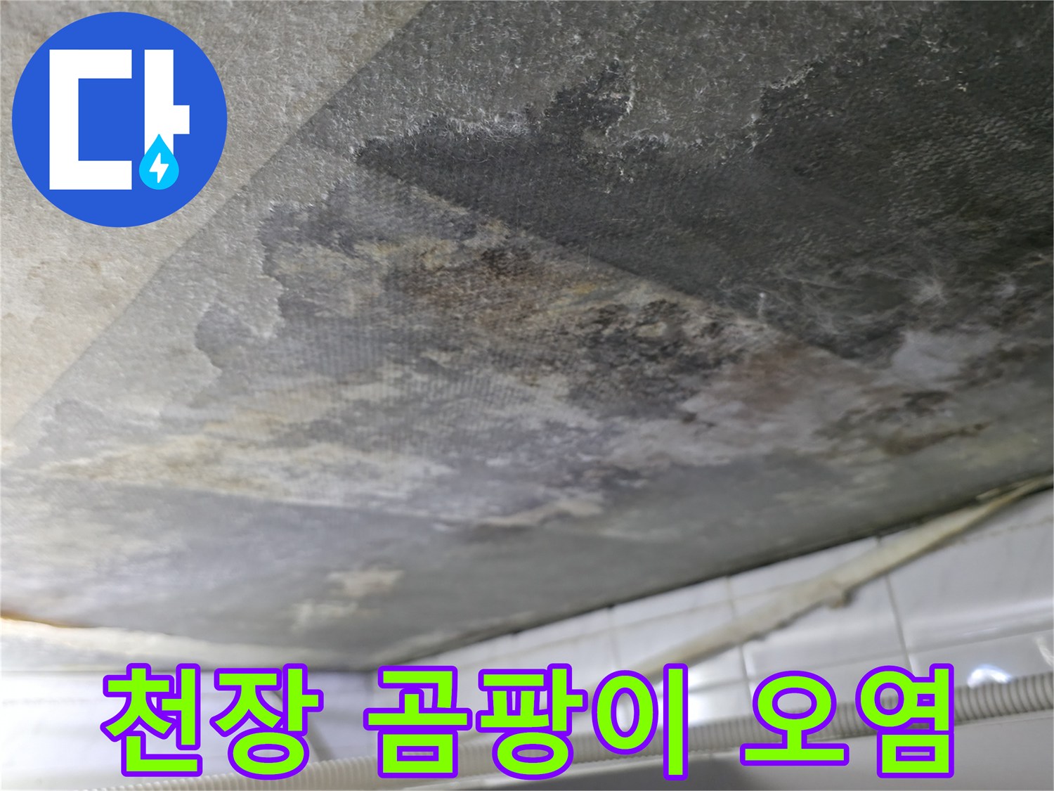 누수 현장 점검 - 습기로 인해 검게 변한 화장실 천장 콘크리트 면
