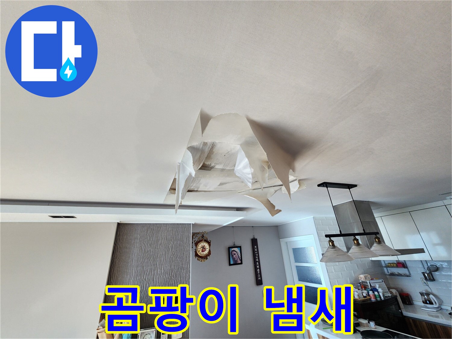 젖은 천장 벽지 - 곰팡이 냄새 - 건강 위협
