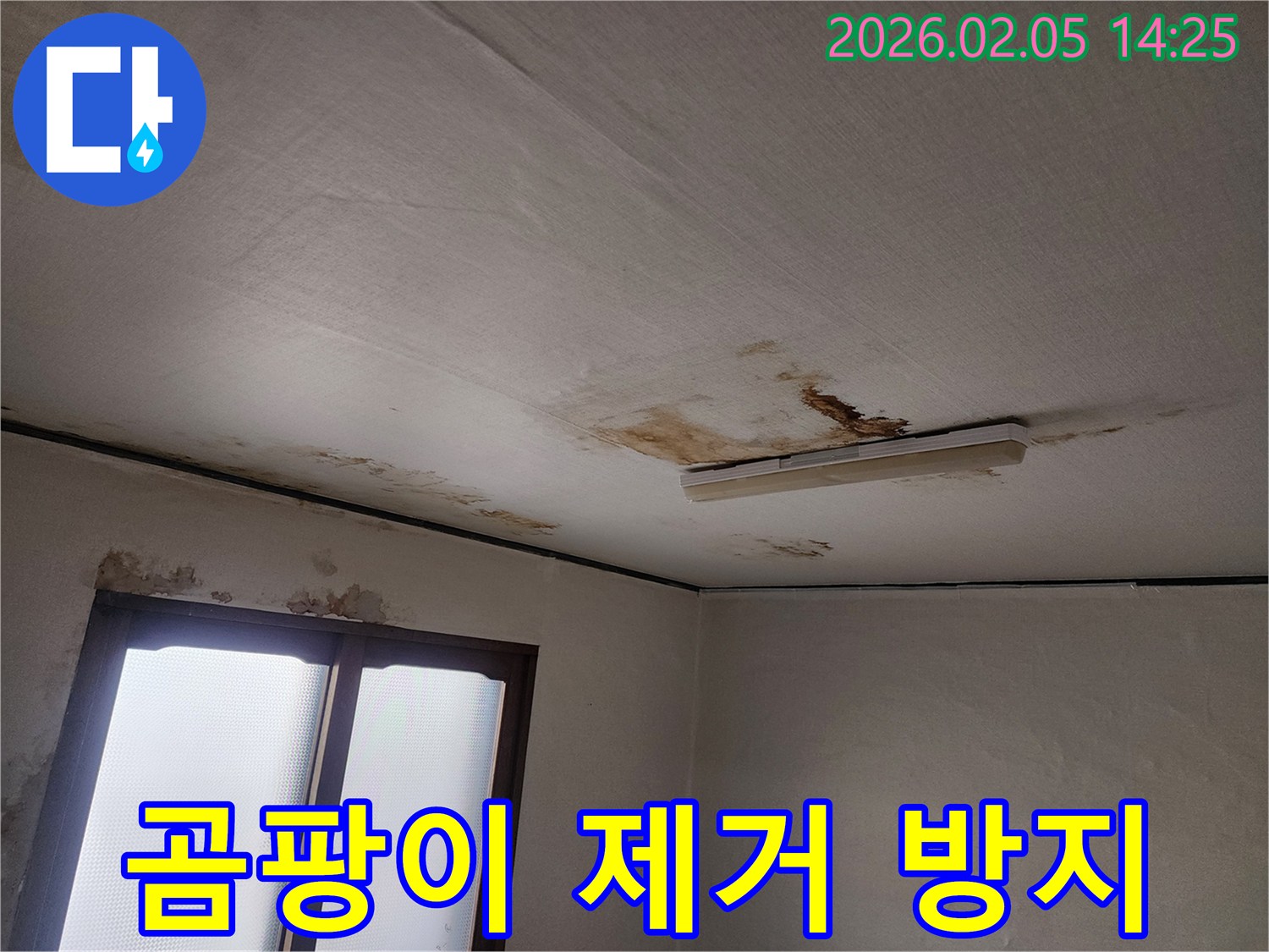 천장-누수로-인해-발생한-심각한-곰팡이를-제거하고-재발을-방지하는-현장-사진입니다