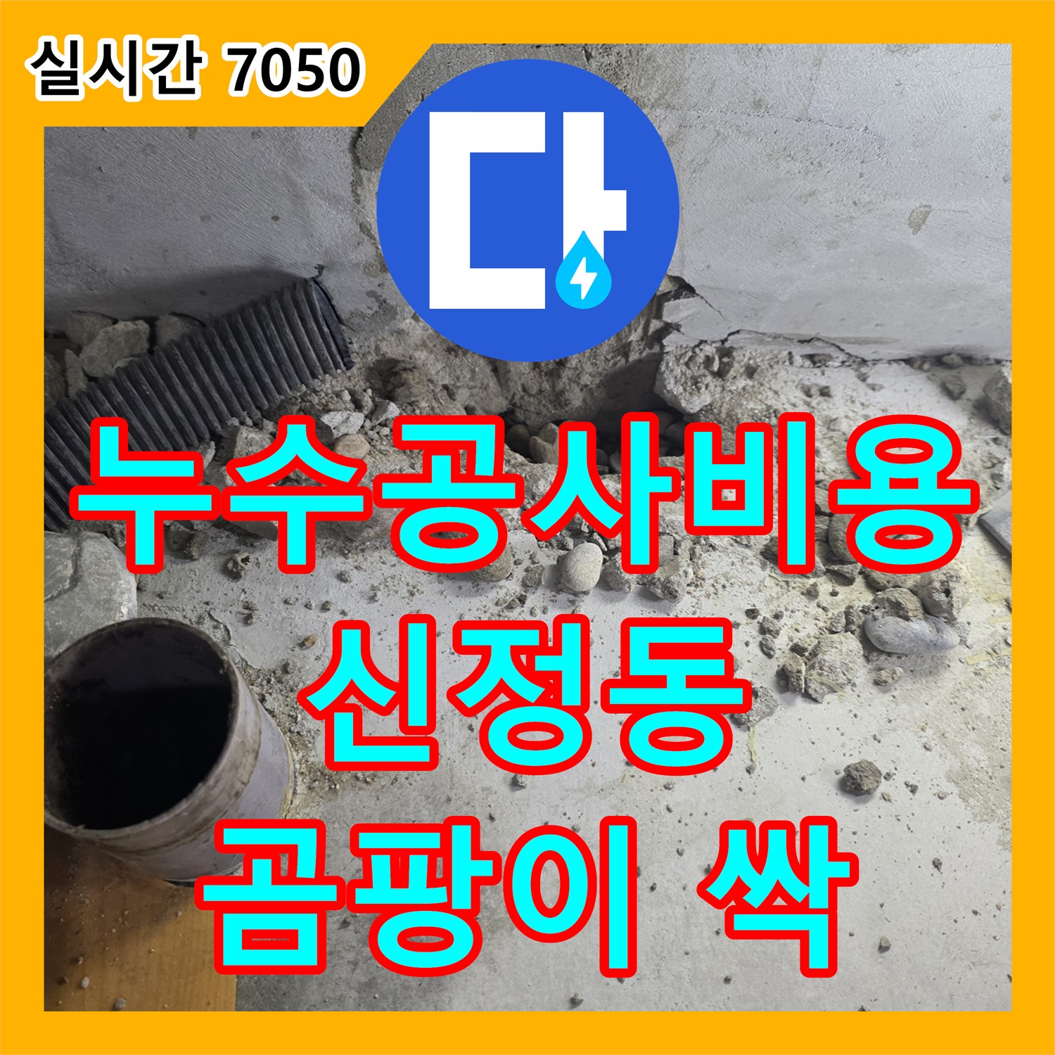 양천구 누수공사비용, 합리적인 견적으로 신정동 주택, 곰팡이 걱정 싹! 완벽 방수 시공