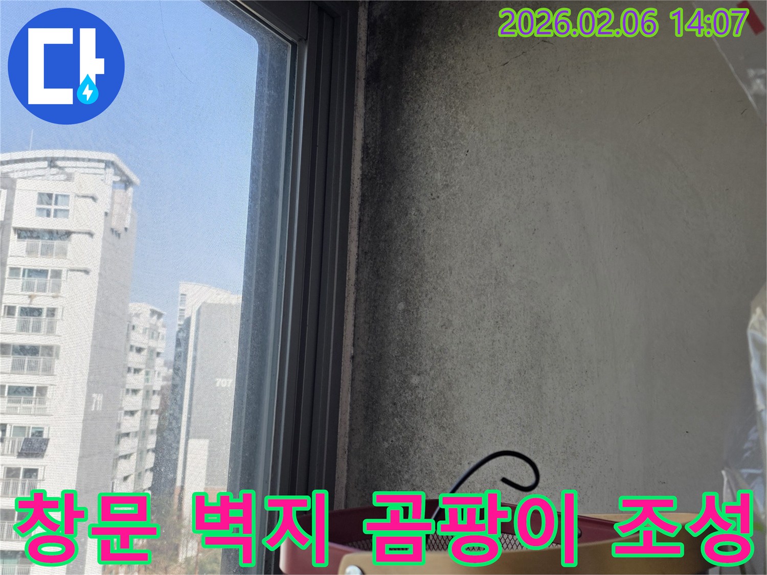 상암동에서 창문 주변 벽지에 발생한 곰팡이-쾌적하고 건강한 실내 환경을 조성하기 위해 해결합니다.