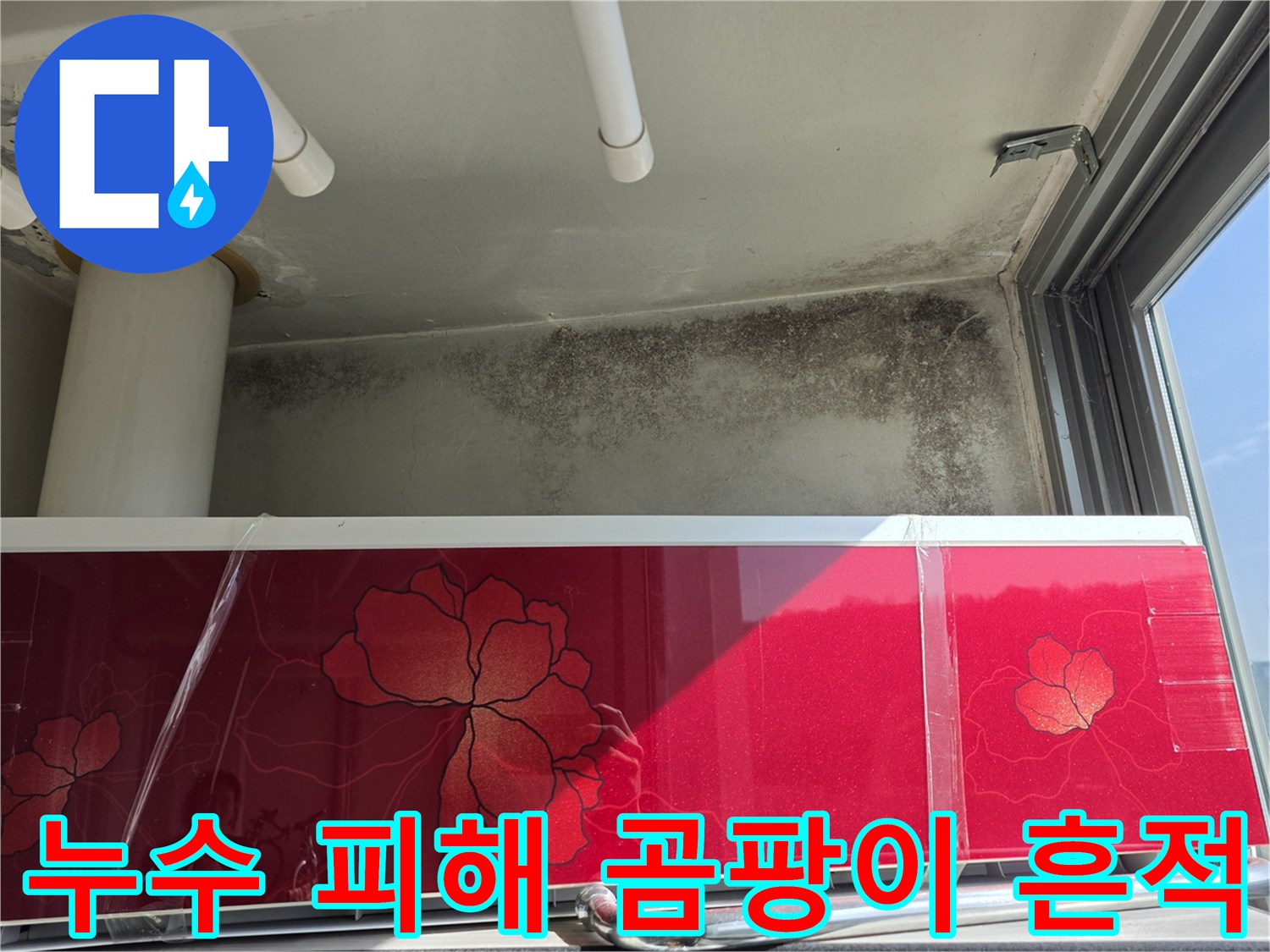 세탁실 천장 부근-심하게 번진 곰팡이와 물샘 자국