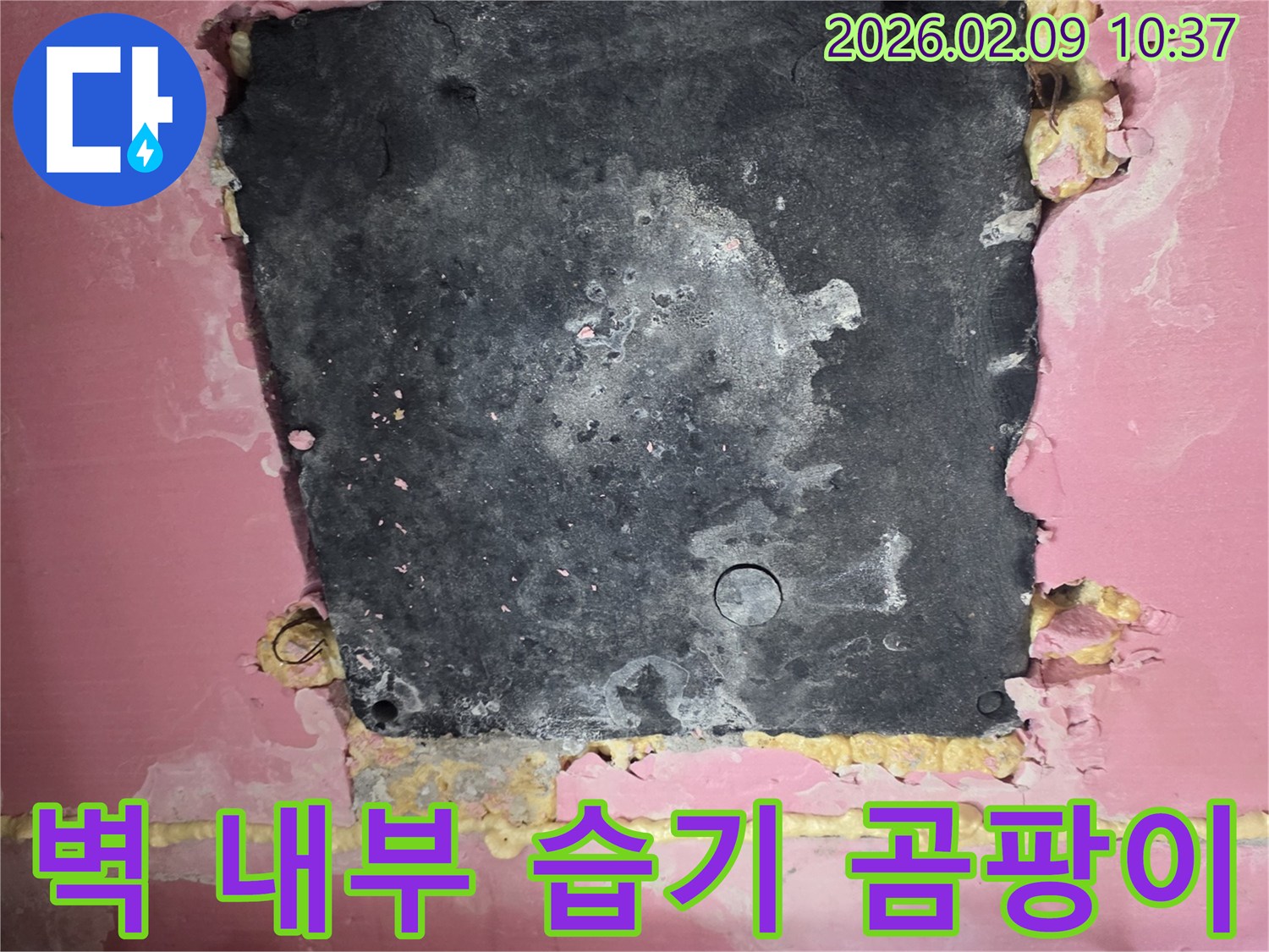 벽면-내부에서-발생한-누수로-인한-습기와-곰팡이-발생-현장을-보여주는-사진입니다