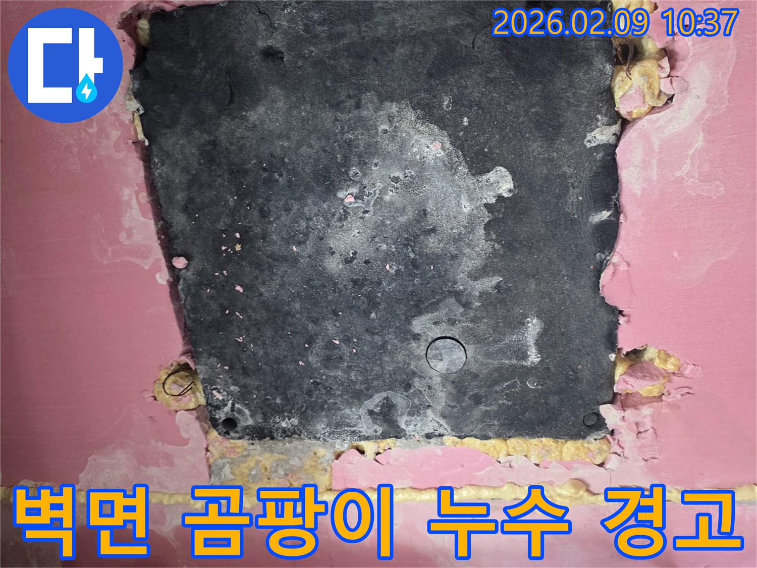 벽면의-손상된-단열재와-마감재-그리고-주변의-습기-흔적을-통해-누수로-인한-곰팡이-발생-가능성을-보여줍니다