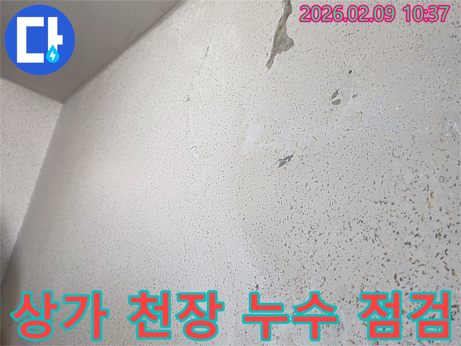 상가-천장에서-발생한-누수-현상을-꼼꼼하게-점검하여-영업에-지장이-없도록-조치합니다