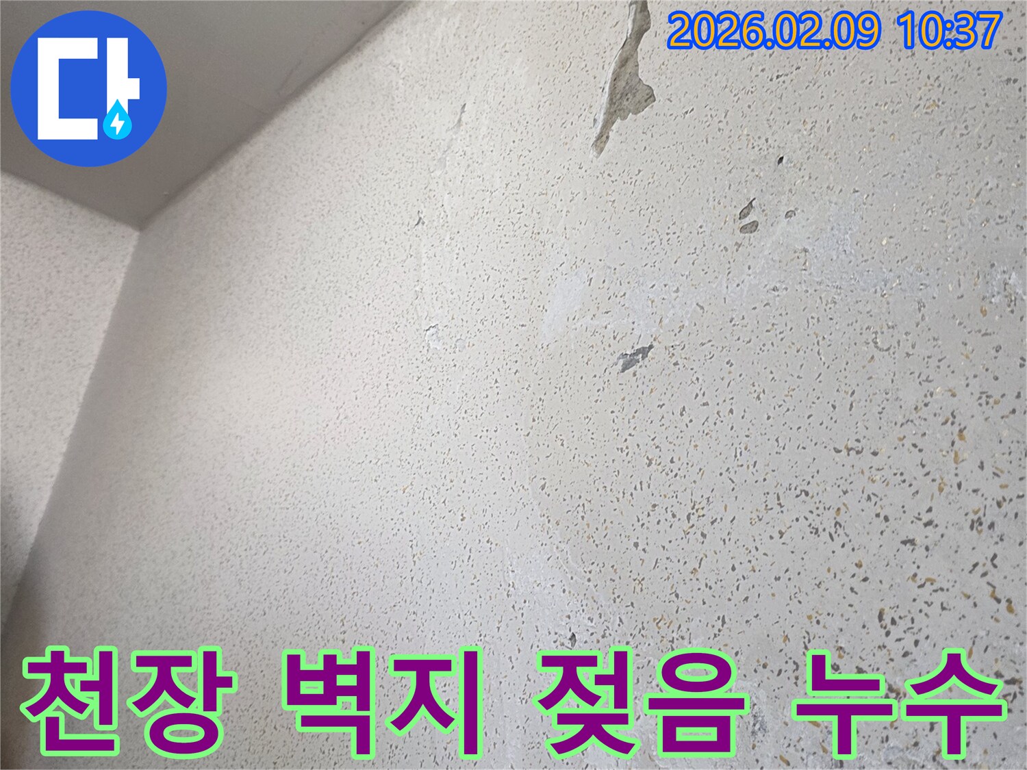 천장 벽지가 물에 젖어 변색되고 있는 모습은-상층부에서 발생한 누수 피해를 분명히 보여줍니다