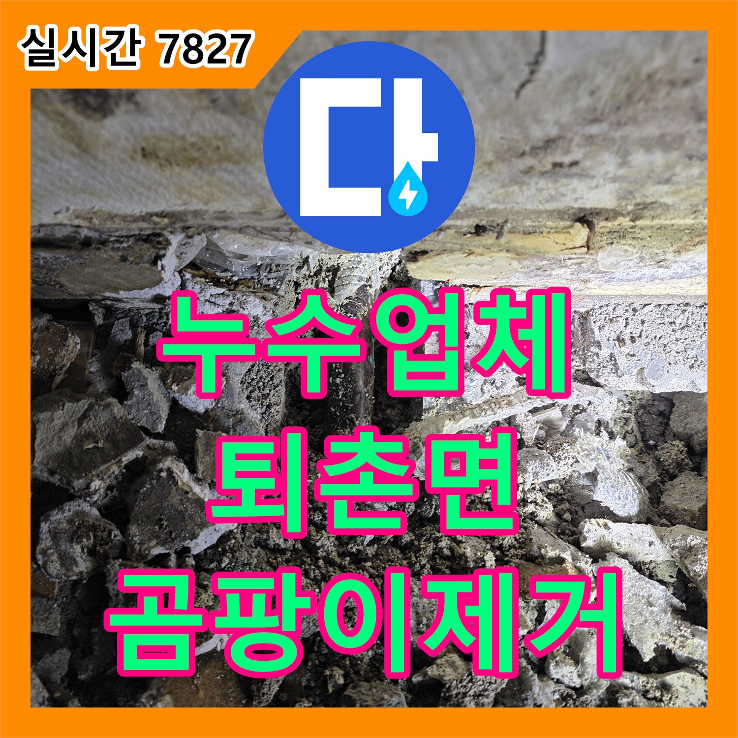 누수업체가 주방 싱크대 하부 벽면에서 발생한 곰팡이 누수 문제를 꼼꼼하게 해결하고 있는 경기도 광주시 퇴촌면