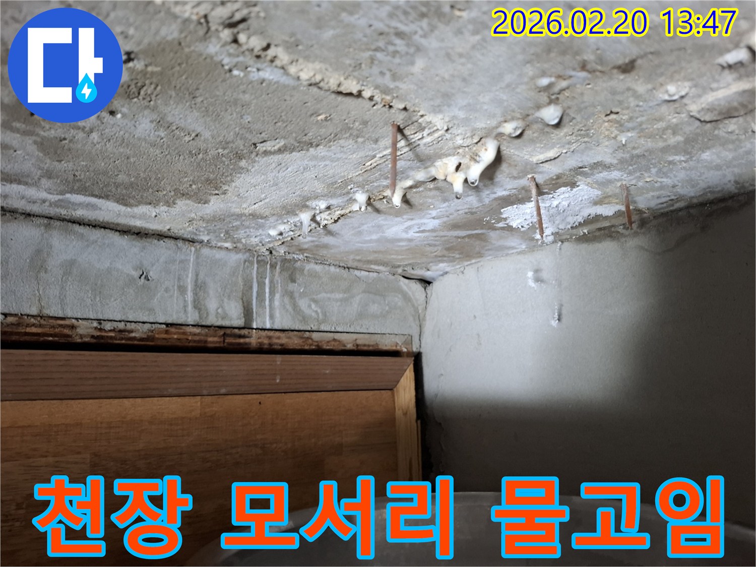 천장 모서리 부분에 물이 고여-물방울이 맺히고 있는 심각한 누수 현장