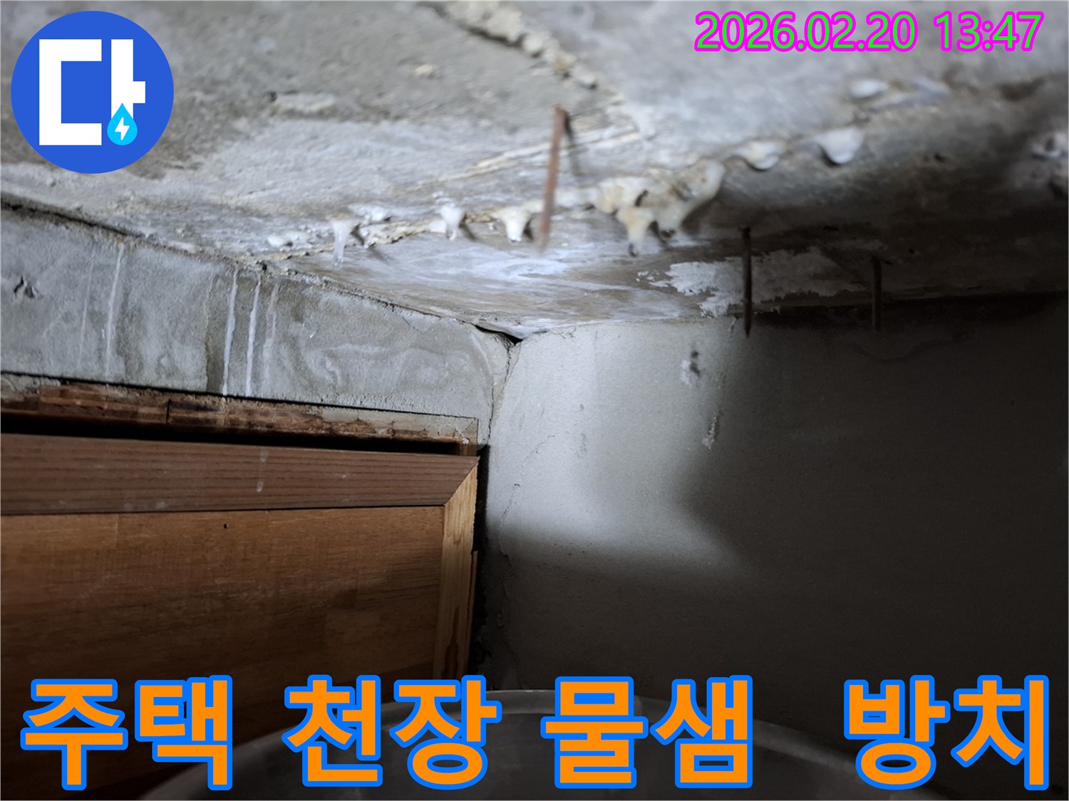 천장에서 지속적으로 물이 떨어져-벽면이 젖고 있는 심각한 누수 상황