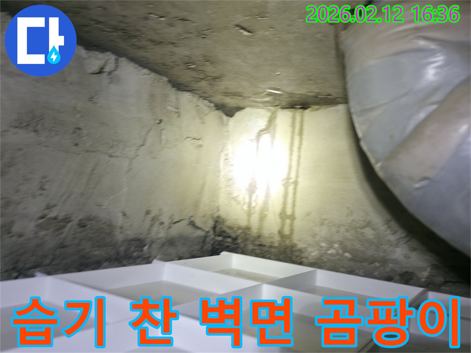 오랜-누수로-인해-벽면에-습기가-차고-곰팡이가-번식한-주택-누수-현장