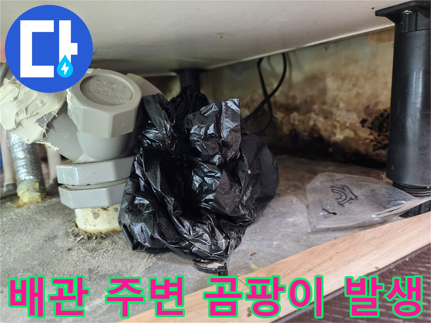 싱크대-배관-하부-벽면의-심한-곰팡이와-오염상태