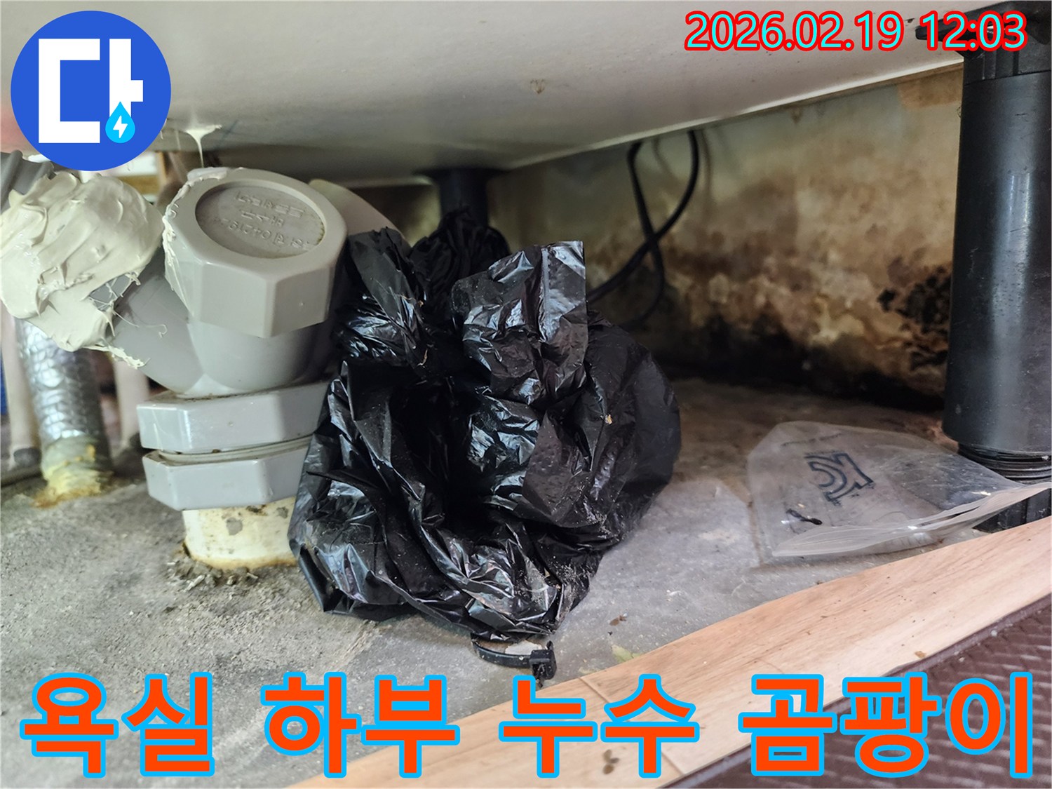이 이미지는 욕실 하부의 배관 주변에서 발생한 누수 흔적과-심각한 곰팡이 오염을 자세히 보여줍니다.