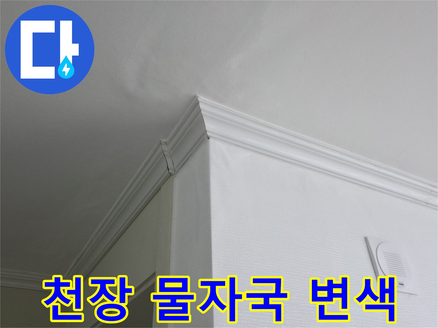 화장실 입구 천장의 누수 흔적과 변색된 부분