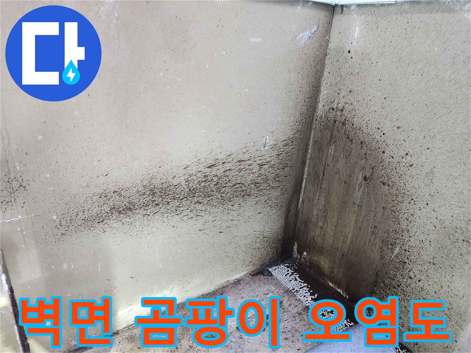 분배기 설치 벽면의 심한 곰팡이와 습기 흔적