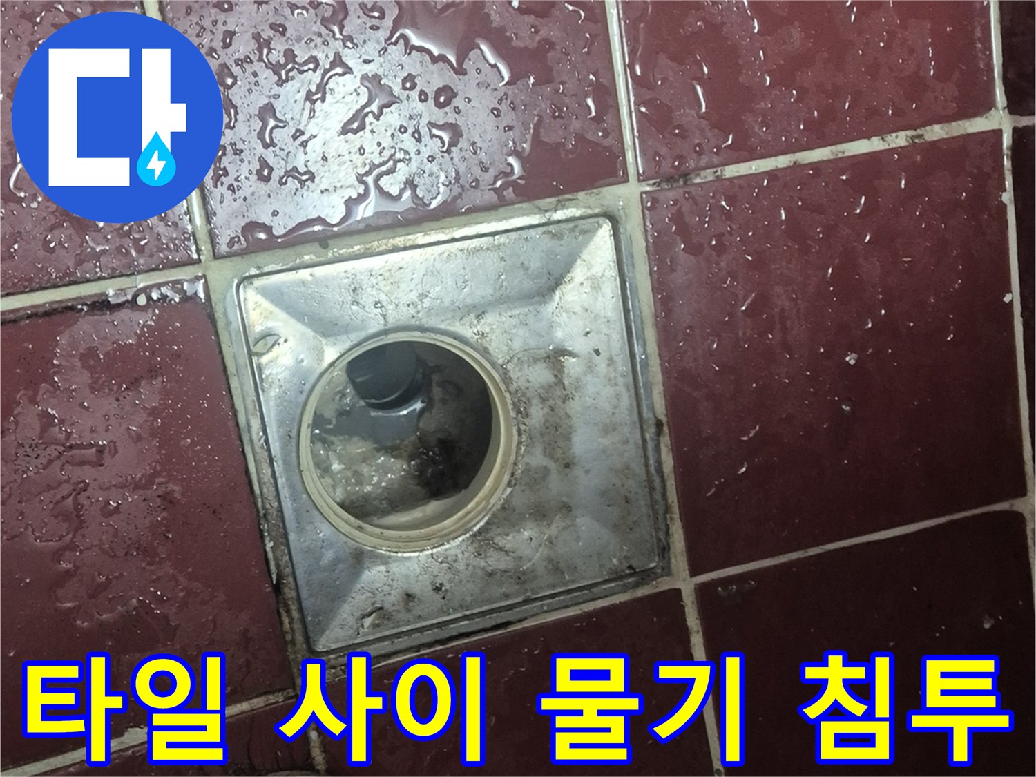 욕실 타일 줄눈 사이로 물이 스며든 모습-배수구 주변 점검 중