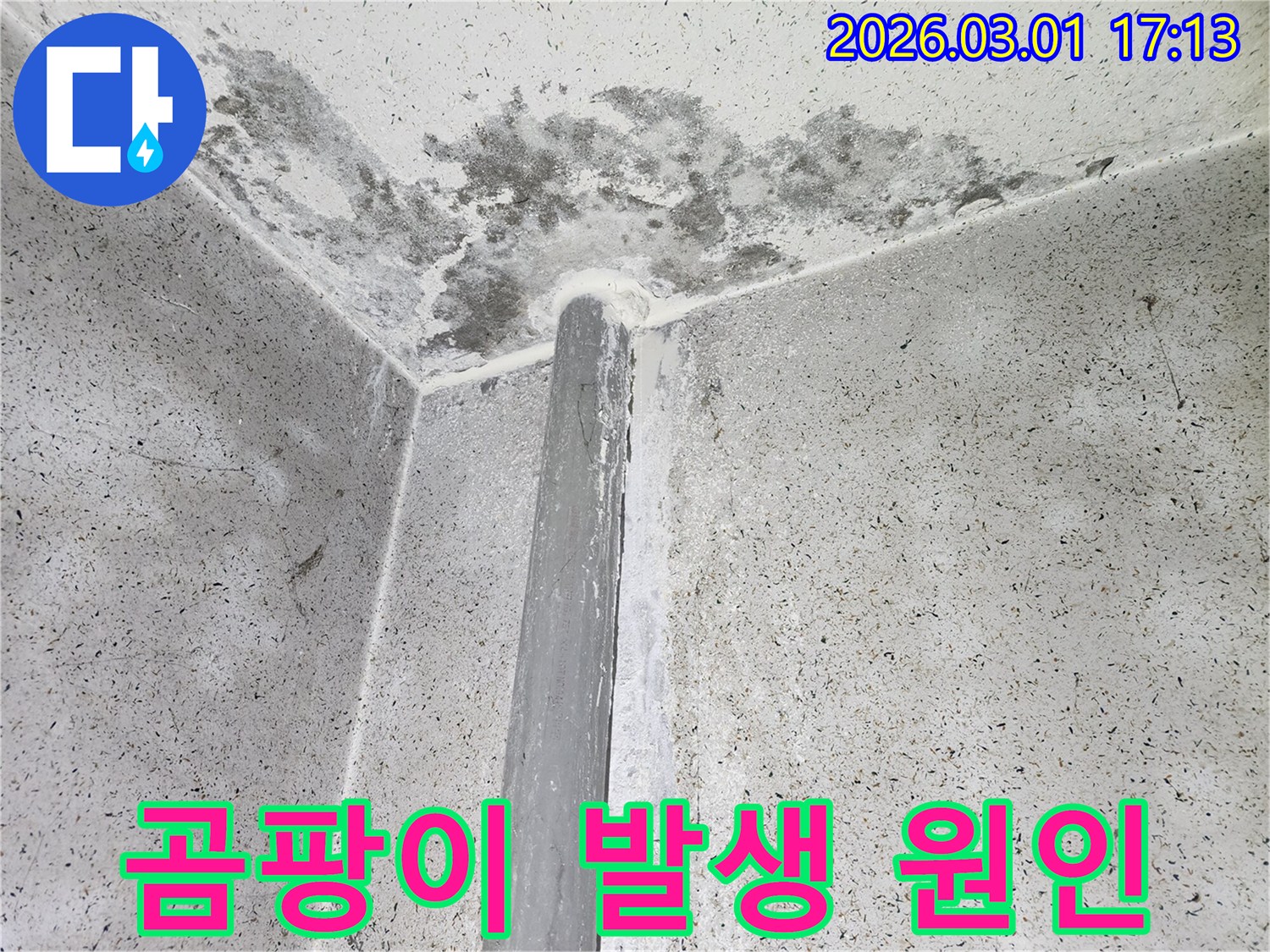 천장과 벽의 이음새 부분-지속적인 누수로 인한 곰팡이 번식