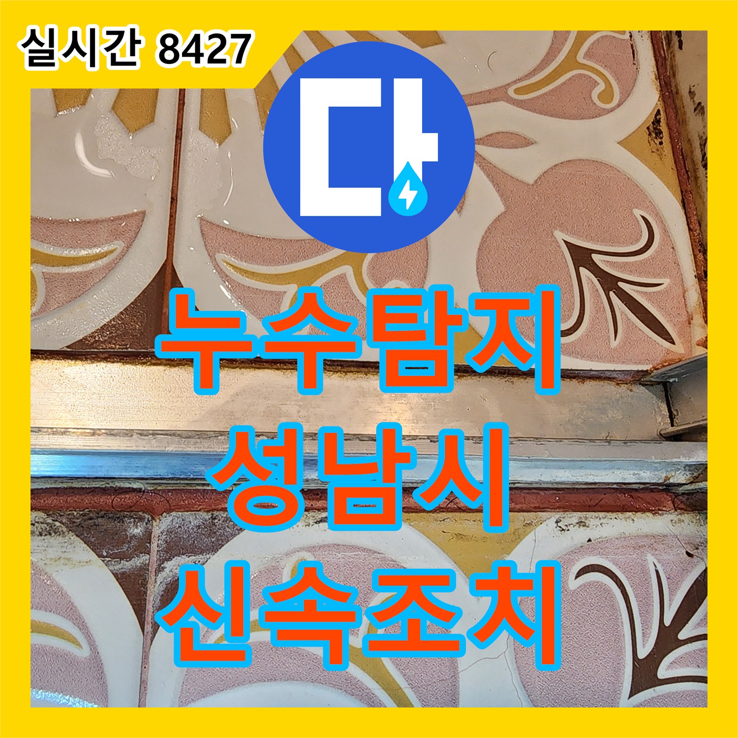 누수탐지, 경기 성남시 분당구 주택 벽면 물 스며든 흔적 정밀 탐지 및 보수