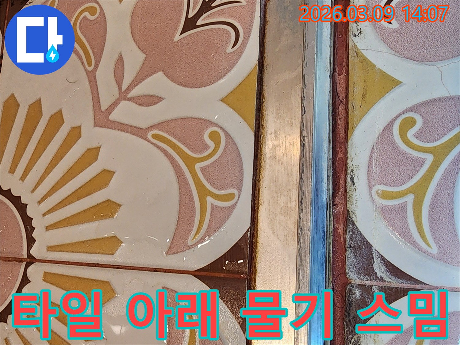타일 하단부와 줄눈에 물기가 스며들어-변색된 누수 흔적을 보여주는 현장 사진입니다.