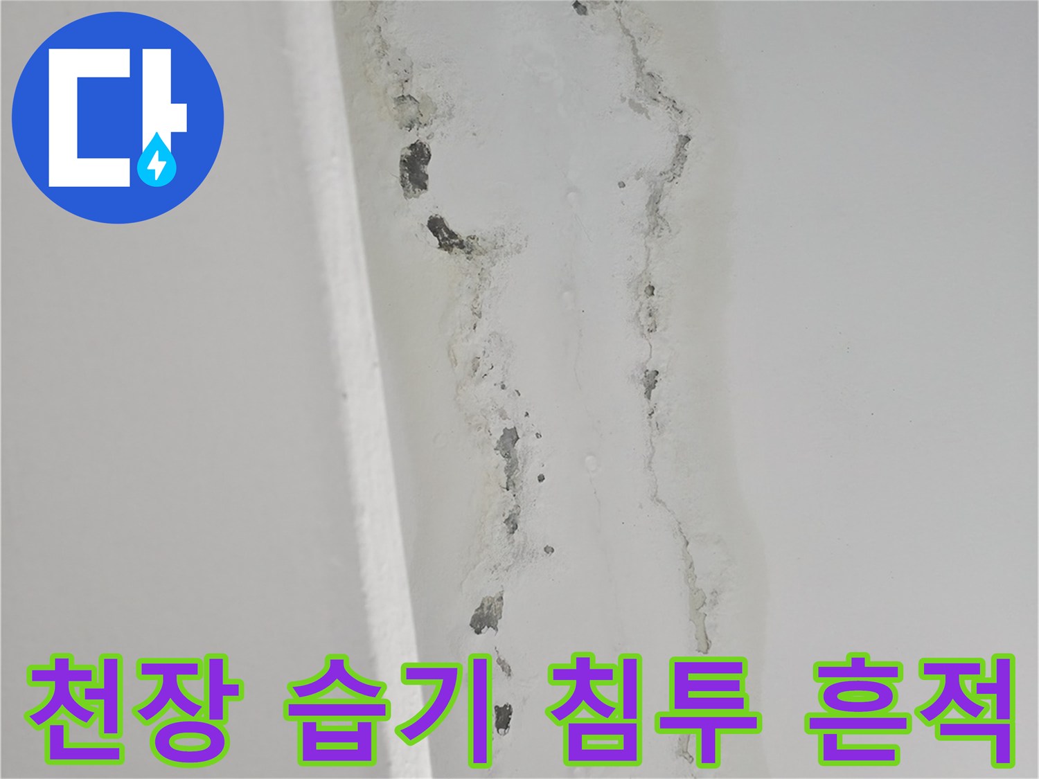 주방 천장 배관 주변-물샘 현상으로 인해 젖어 있는 마감재 부위