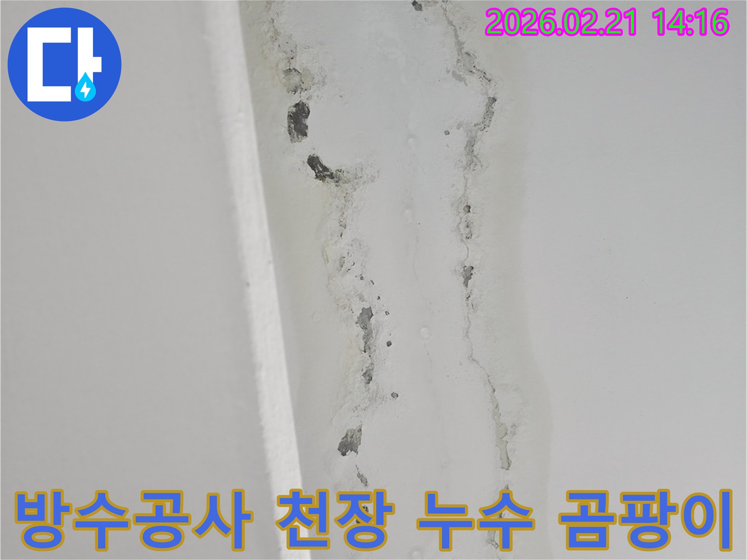 천장-누수로-인해-벽면에-발생한-심각한-곰팡이와-물자국을-보여주는-사진
