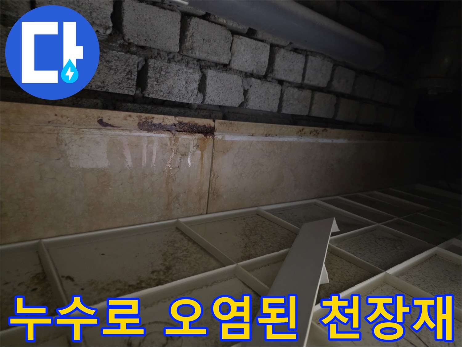 화장실 천장-배관 주변의 심한 부식과 습기 흔적