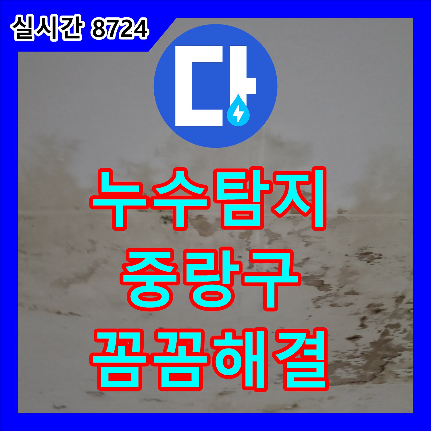 누수탐지, 윗집 누수로 인한 천장 곰팡이와 물얼룩을 정밀하게 탐지하여 해결하는 방법, 서울 중랑구