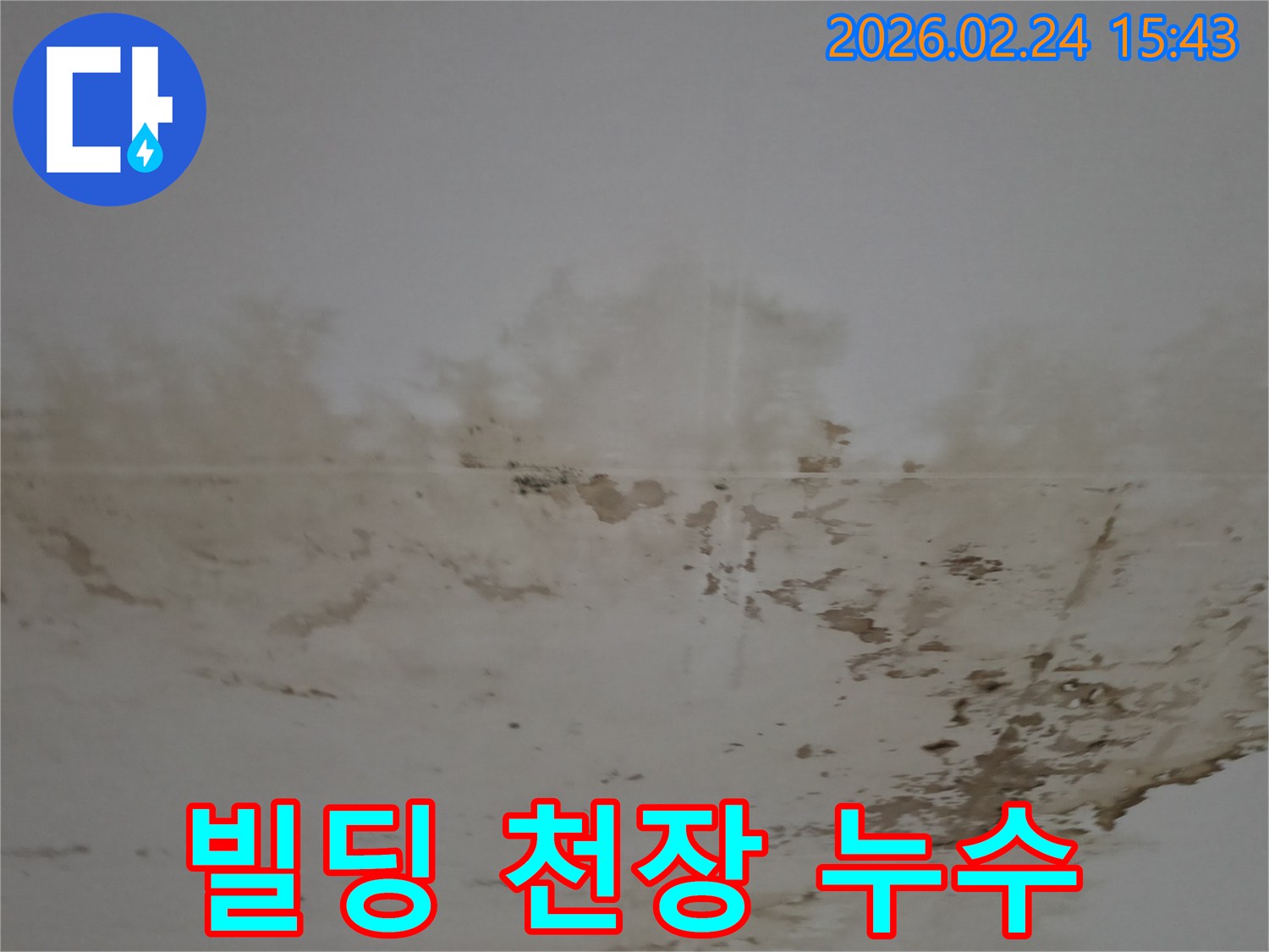 빌딩 천장에 나타난 광범위한 물자국과 곰팡이-전문적인 누수 진단이 시급한 상황