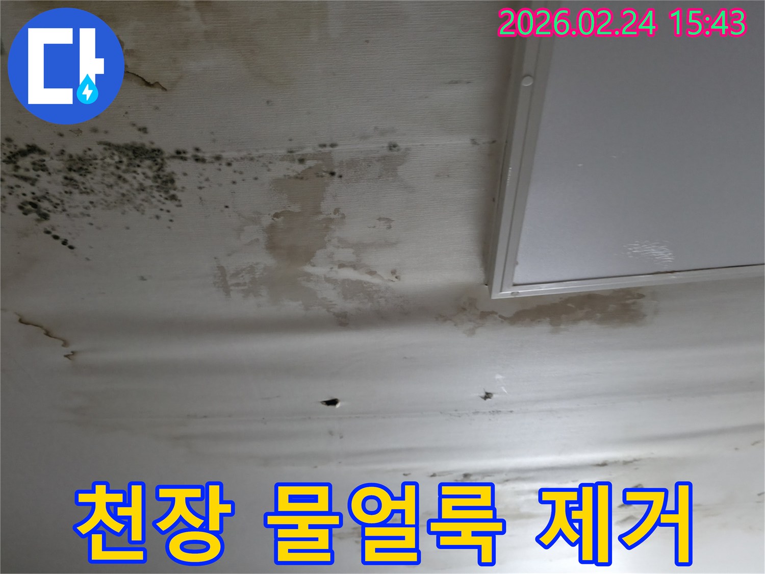 천장에-생긴-심한-물얼룩과-곰팡이-자국을-보여주는-누수-피해-현장-사진