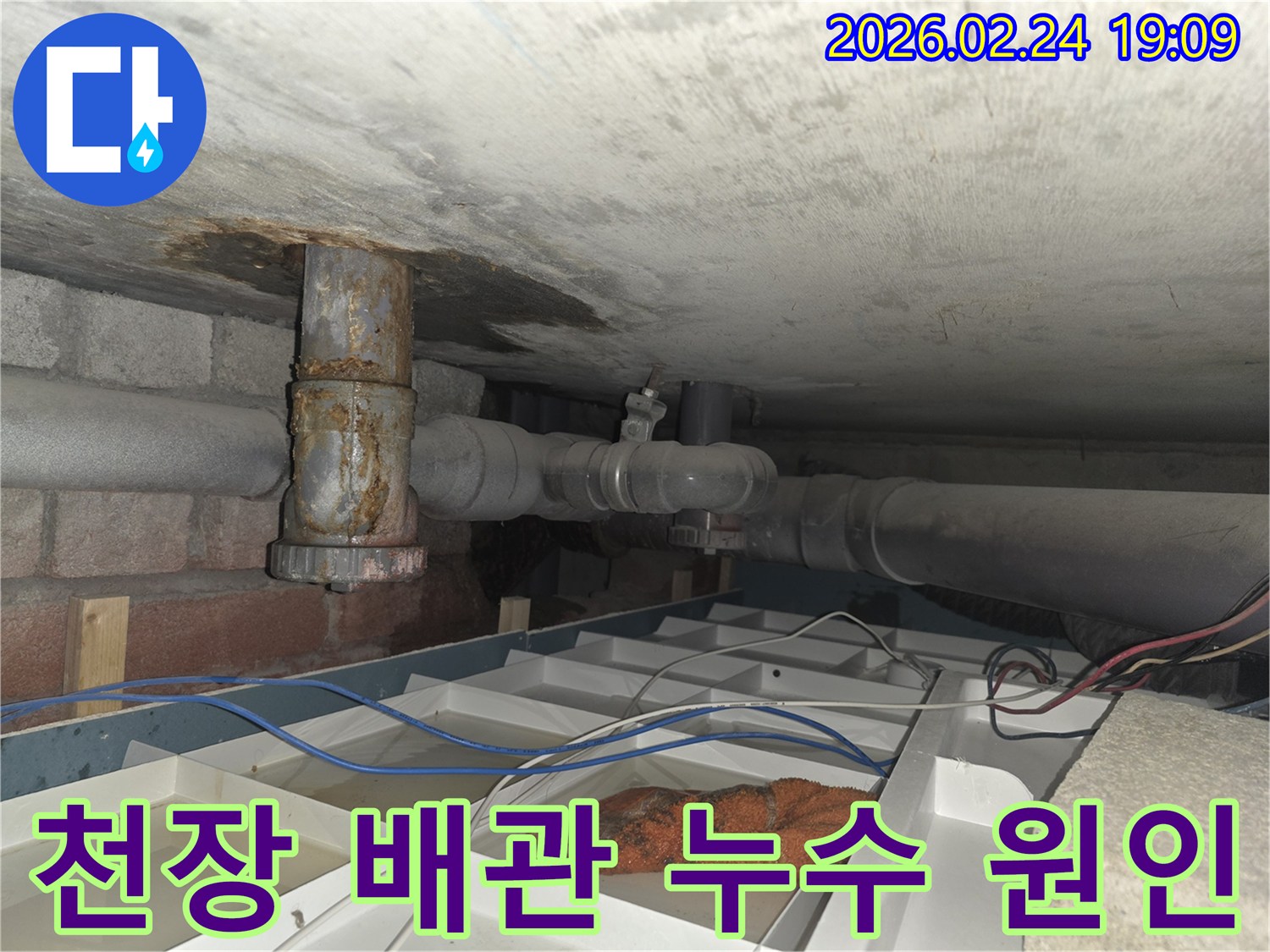 천장 아래의 낡은 배관에서 물이 새어 나와 임시 물받이에 고인 현장